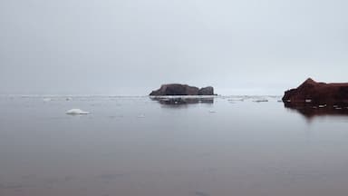A beach with calm water, a small island, and a large rock formation.