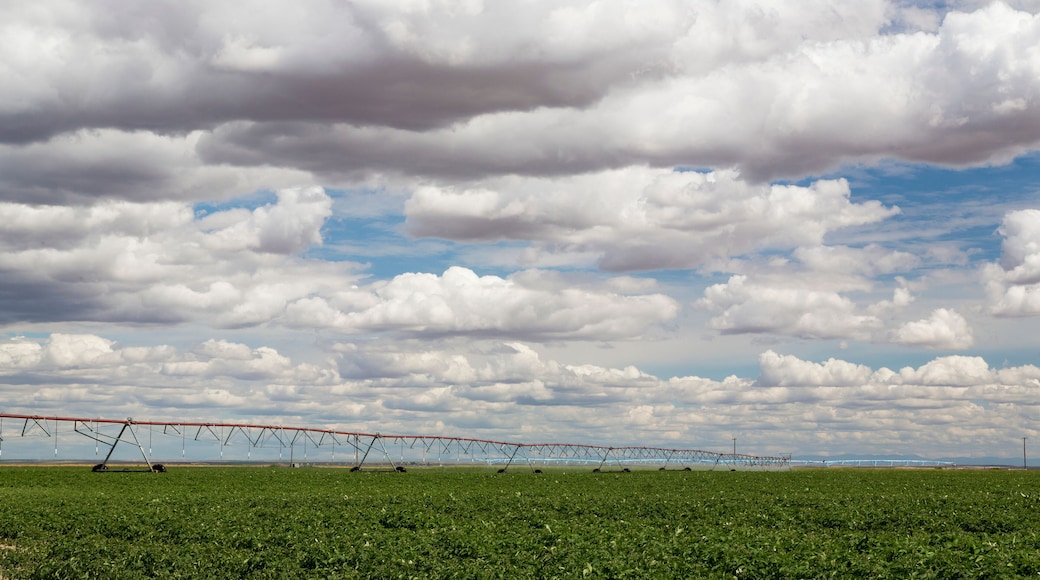 USA, Washington State, Connell. Irrigation device in farm field. Credit as: Don Paulson / Jaynes Gallery / DanitaDelimont.com