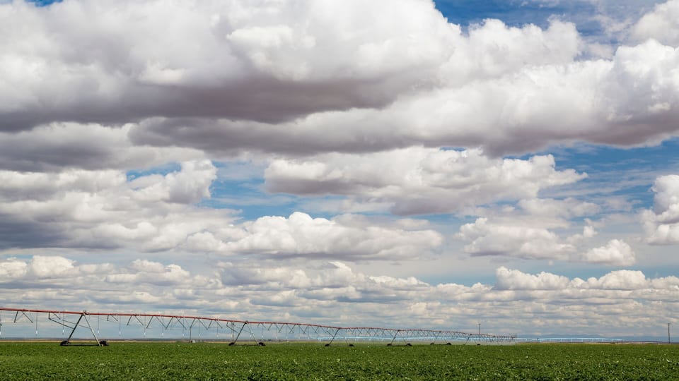 USA, Washington State, Connell. Irrigation device in farm field. Credit as: Don Paulson / Jaynes Gallery / DanitaDelimont.com
