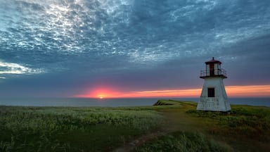 A white lighthouse on a grassy hill with a sunset in the background.