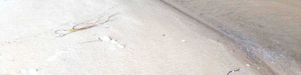 Les grottes secrètes de la Dune du sud