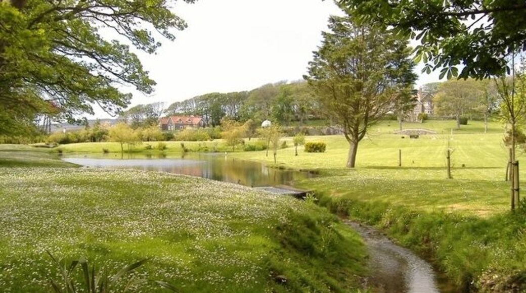The grounds of Billown mansion. Landscaped area below the mansion (in the trees to the right).