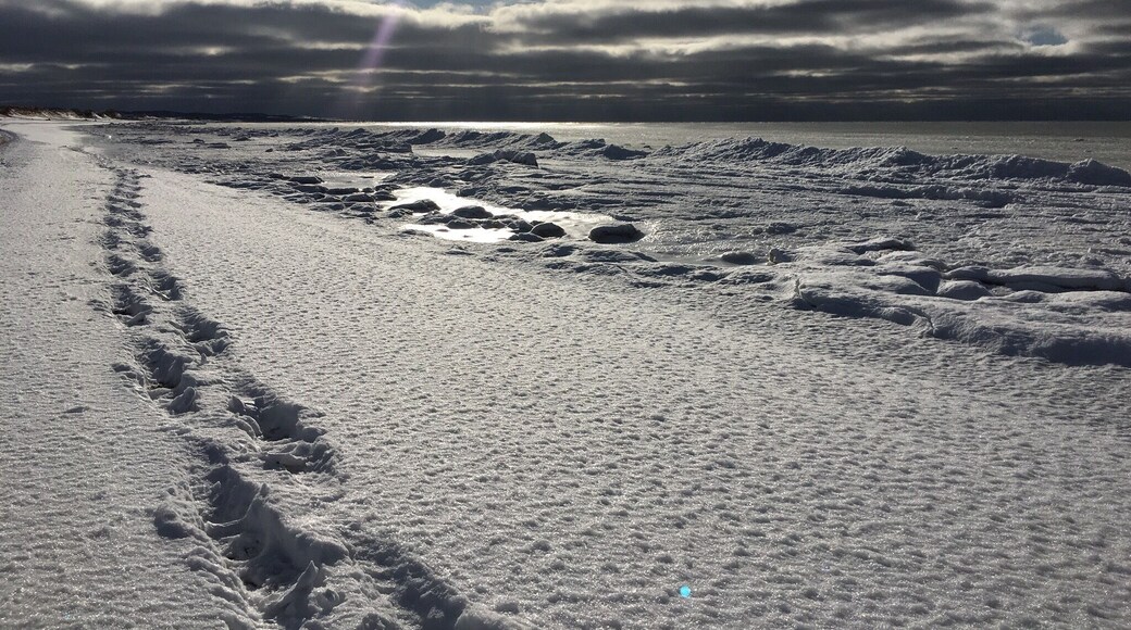 Le voile blanc d’hiver