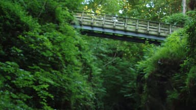 The waterfall at Glen Maye is frequently the subject of photographs featuring glens around Isle of Man.