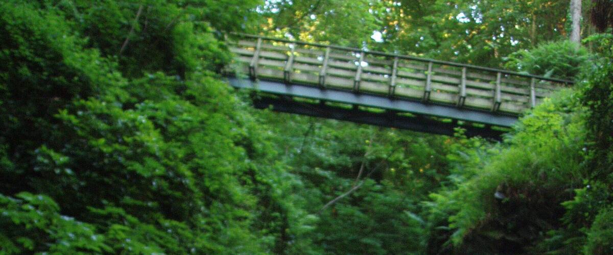 A waterfall in a forested area with a bridge in the background.