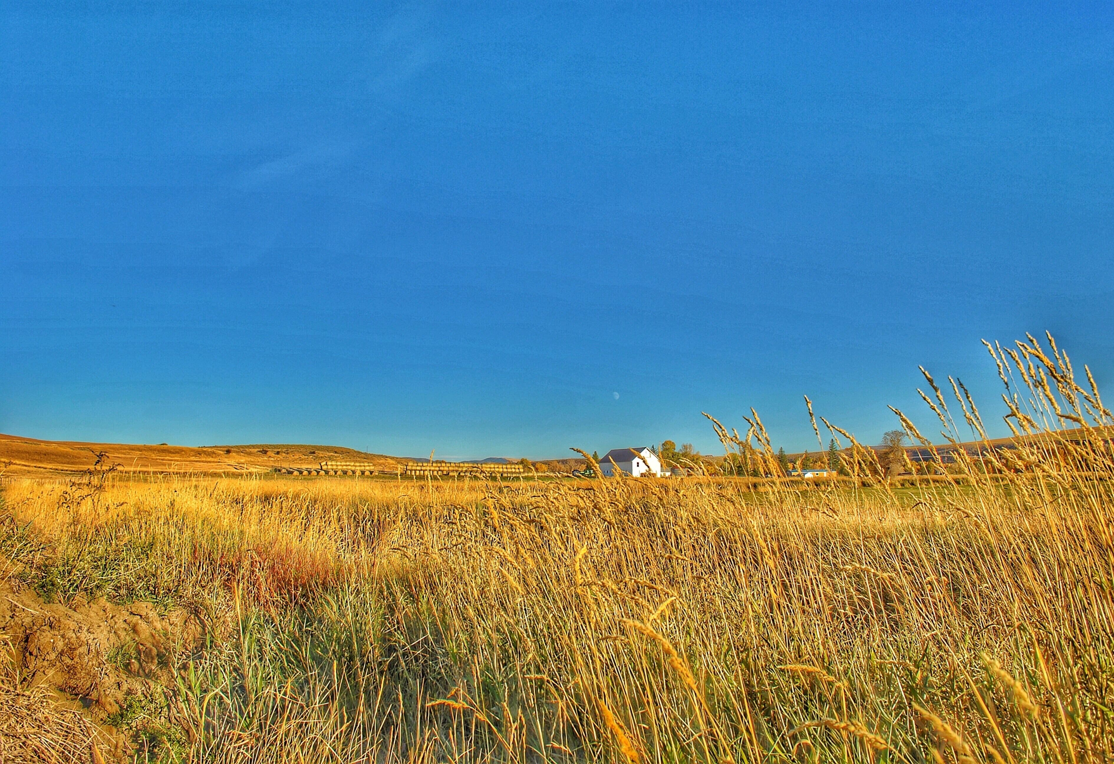 The barn on the farm
#Trovember