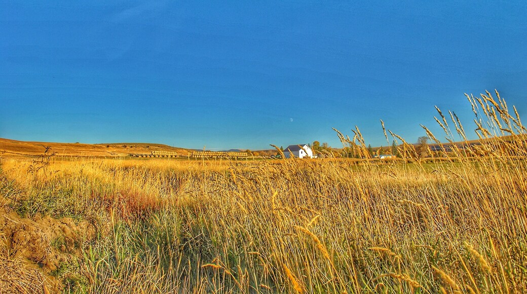 The barn on the farm
#Trovember