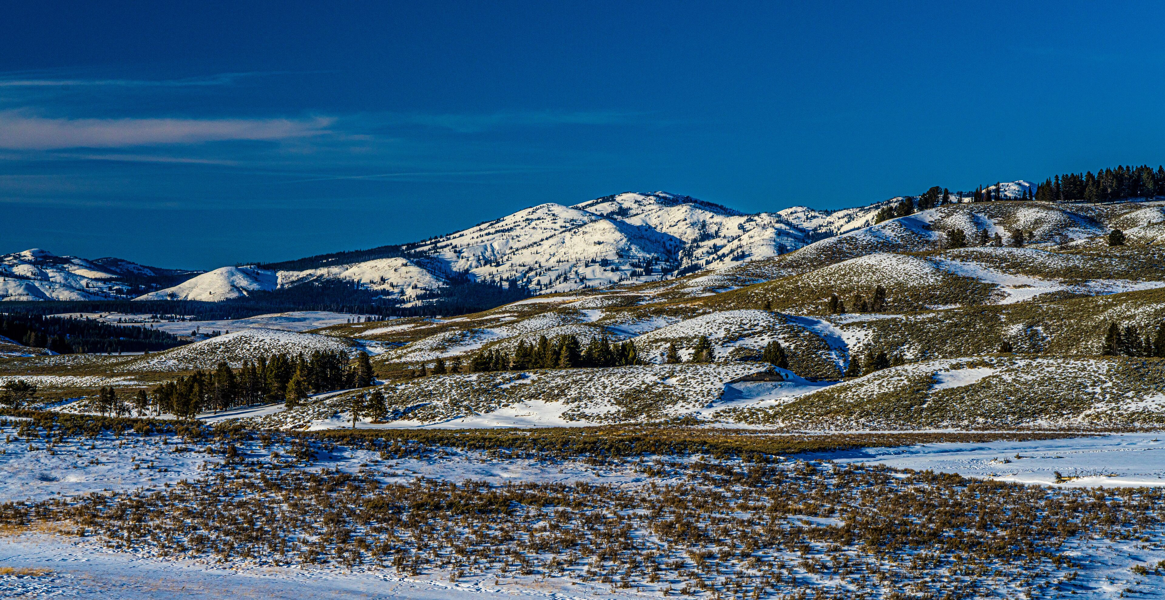 YELLOWSTONE RIVER LANDSCAPES HAYDEN VALLEY