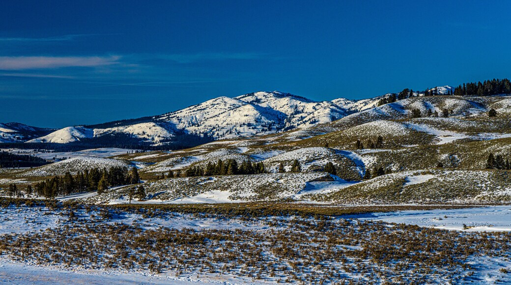 YELLOWSTONE RIVER LANDSCAPES HAYDEN VALLEY