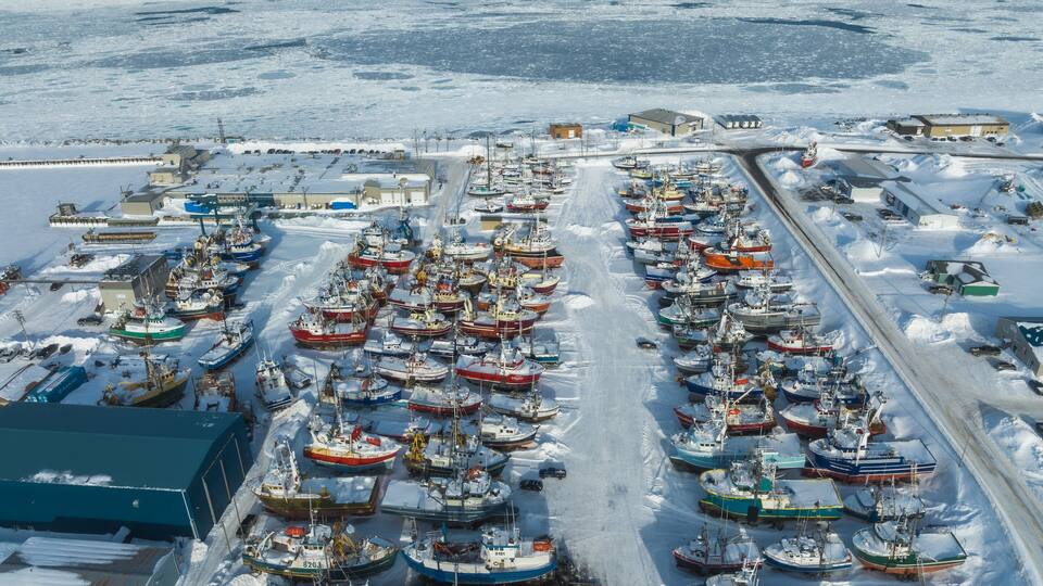 An aerial view of a large ice-covered harbor with numerous boats docked in rows.