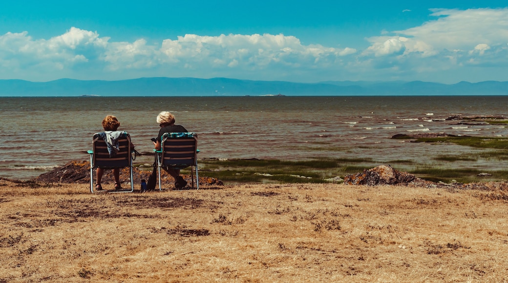 Ladies sitting at the water's edge looking at the horizon