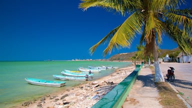 Seybaplaya showing rocky coastline, tropical scenes and a sandy beach