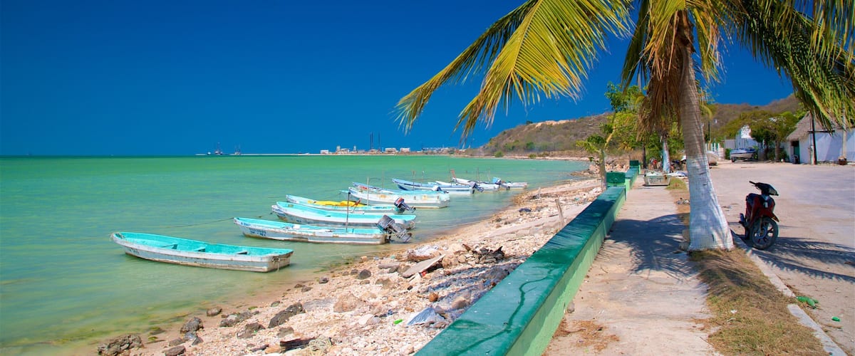 A beach with boats, a palm tree, and a clear blue sky.