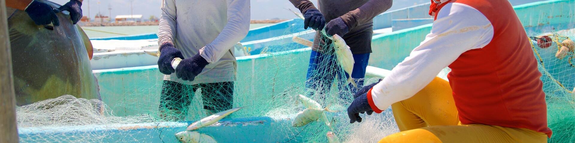 Seybaplaya which includes fishing as well as a small group of people