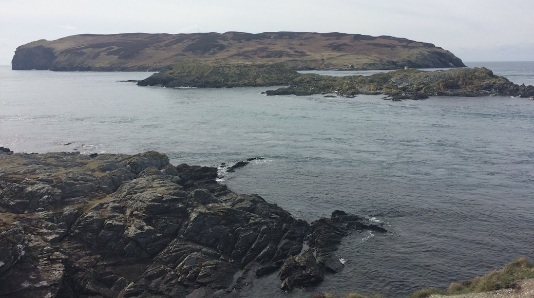 Looking over at the calf of man