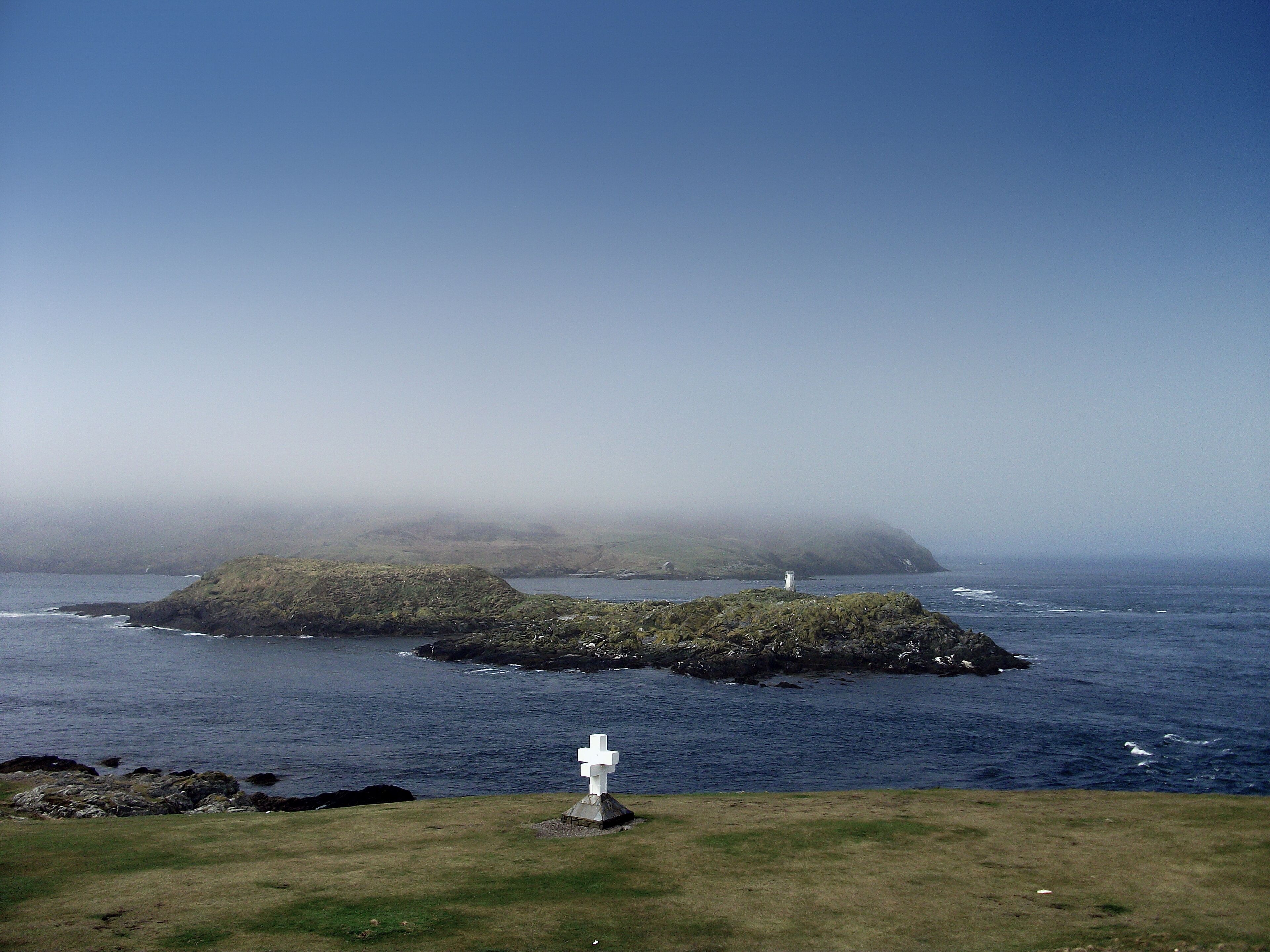 Calf Sound in the Mist