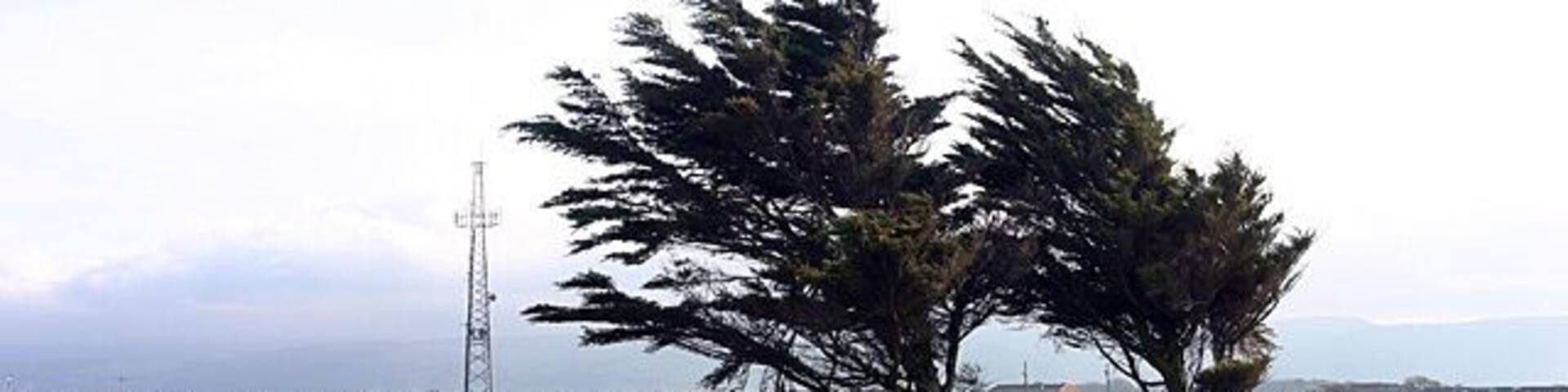 Jurby Industrial Estate. A bleak mixture of unsympathetic housing, industrial units and windswept waste ground characterises this potentially-beautiful area.