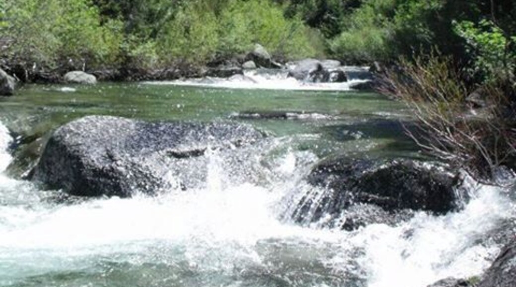 Gorgeous view of the river and alpine hillside in the Trinity Alps Wilderness