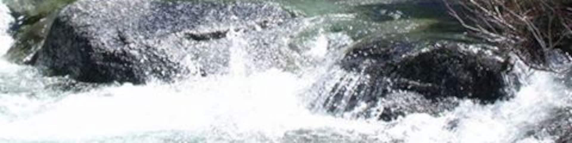A river flowing through a forested area with rocky terrain and a hill in the background.