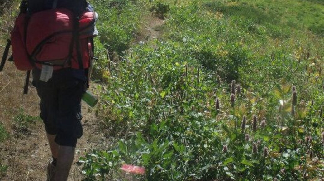 Backpacking in the Trinity Alps to get to Boulder Creek.