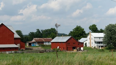 Amish Family Farm in Ohio's Amish Country