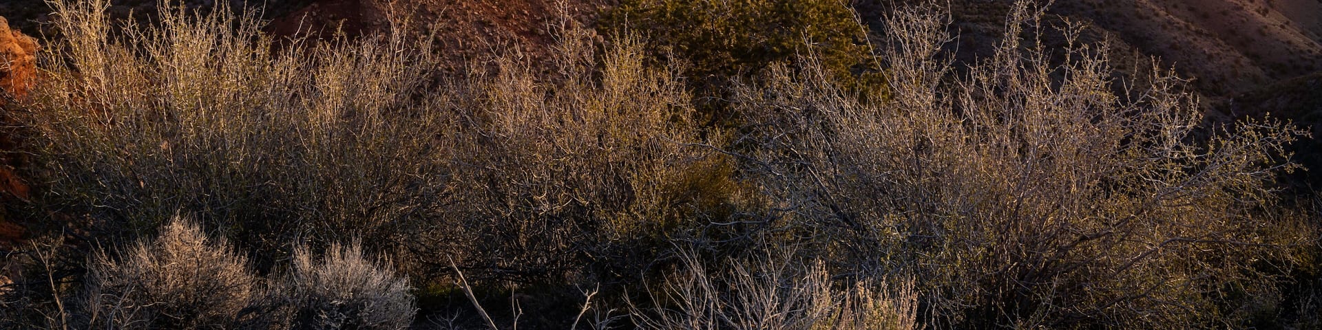 Sunrise at the Grand View Overlook in Colorado National Monument