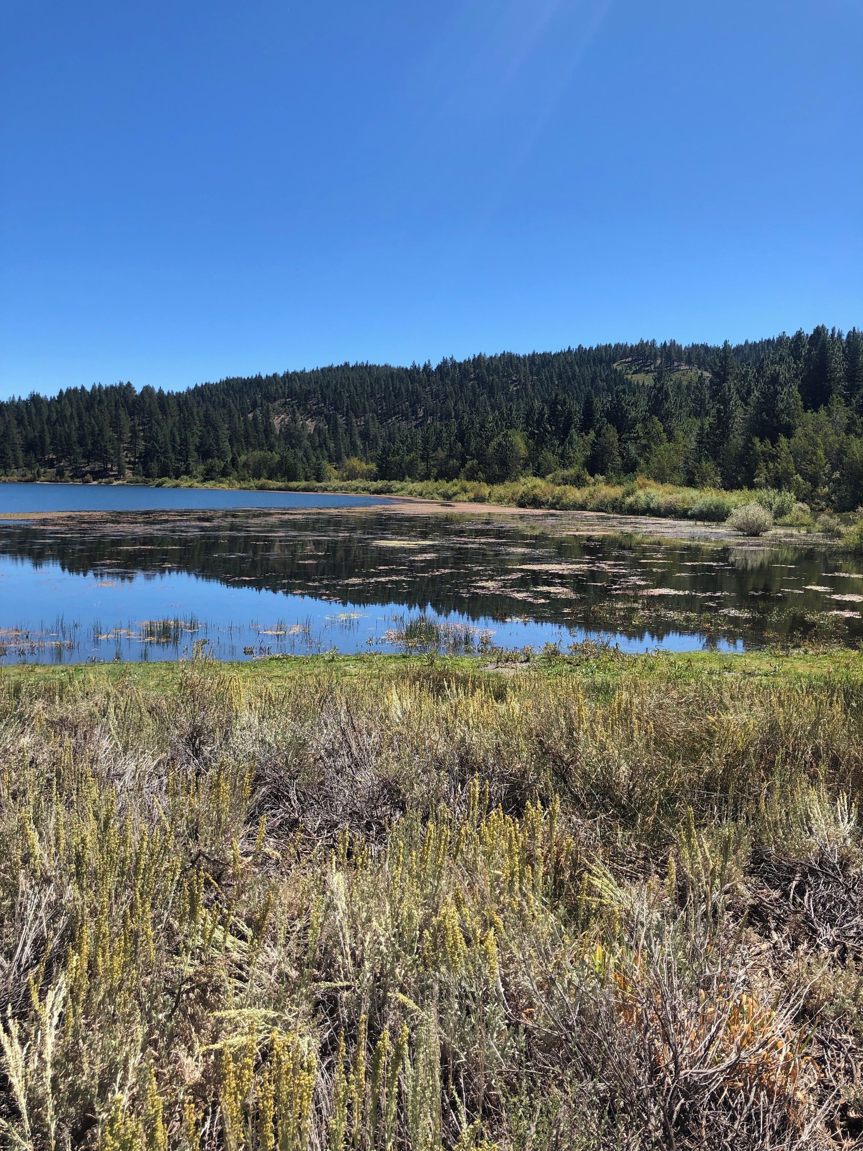 Easy 2.5 around a beautiful lake with sun, shade and gorgeous views!