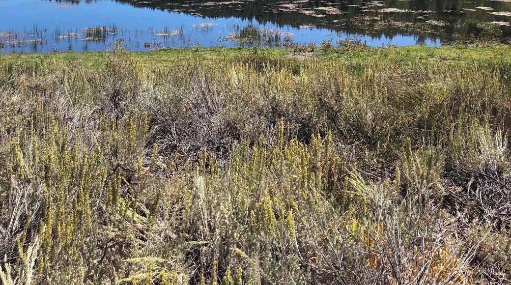 Easy 2.5 around a beautiful lake with sun, shade and gorgeous views!