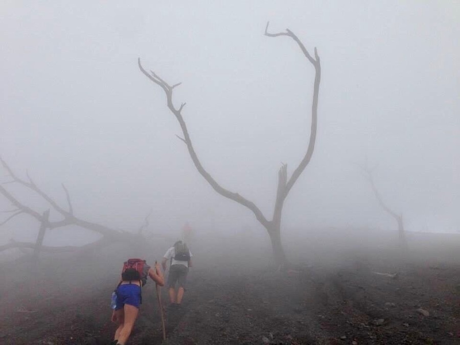 Tallest volcano in Nicaragua! We actually ended up with an amazing view at the top!! #TakeaHike