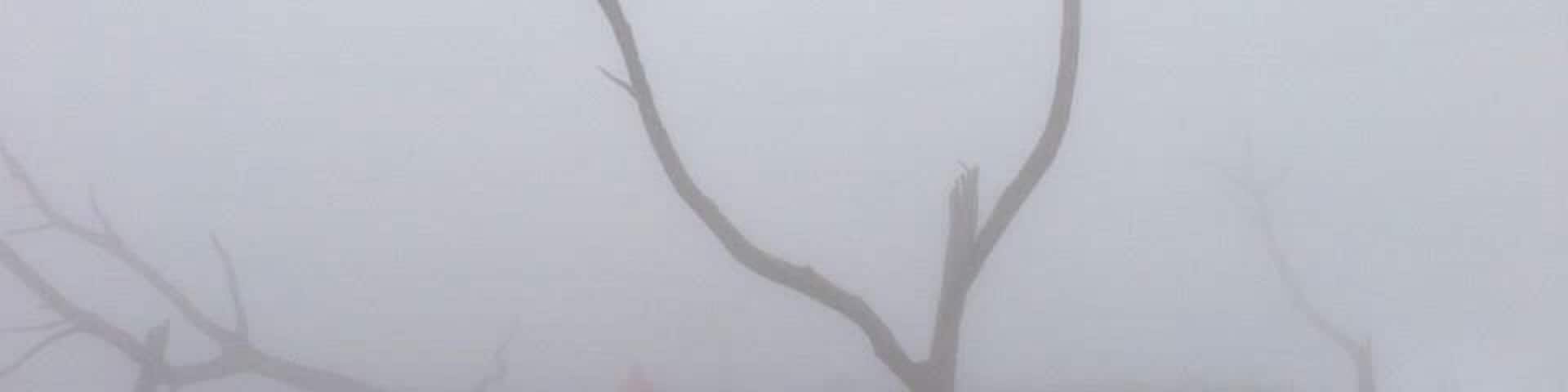 Tallest volcano in Nicaragua! We actually ended up with an amazing view at the top!! #TakeaHike