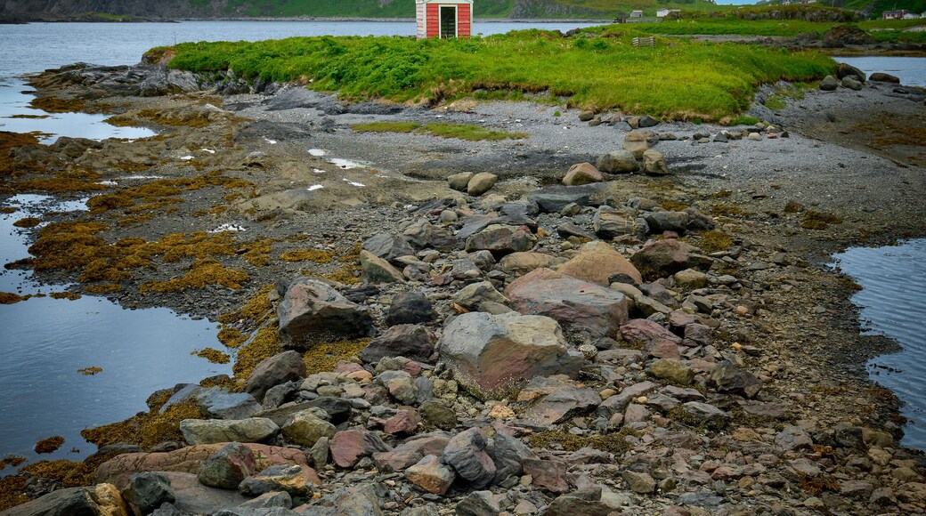 聖呂奈爾-格里克特