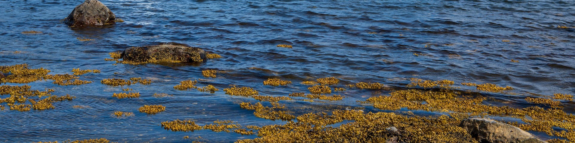 The final gasp of an iceberg. The rear portion of an iceberg sheared off, creating a massive splash to the right.