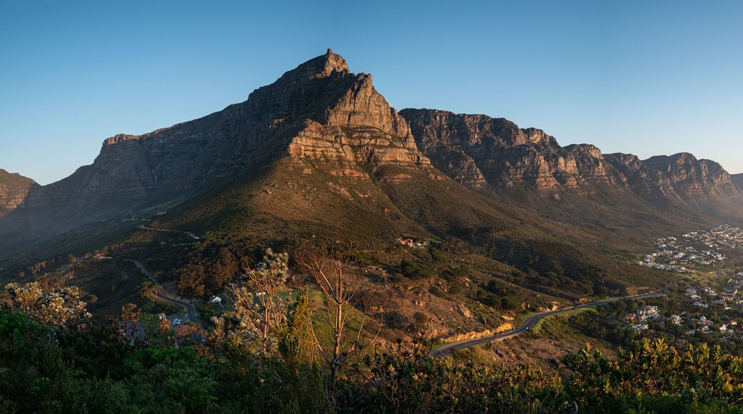 Table Mountain
