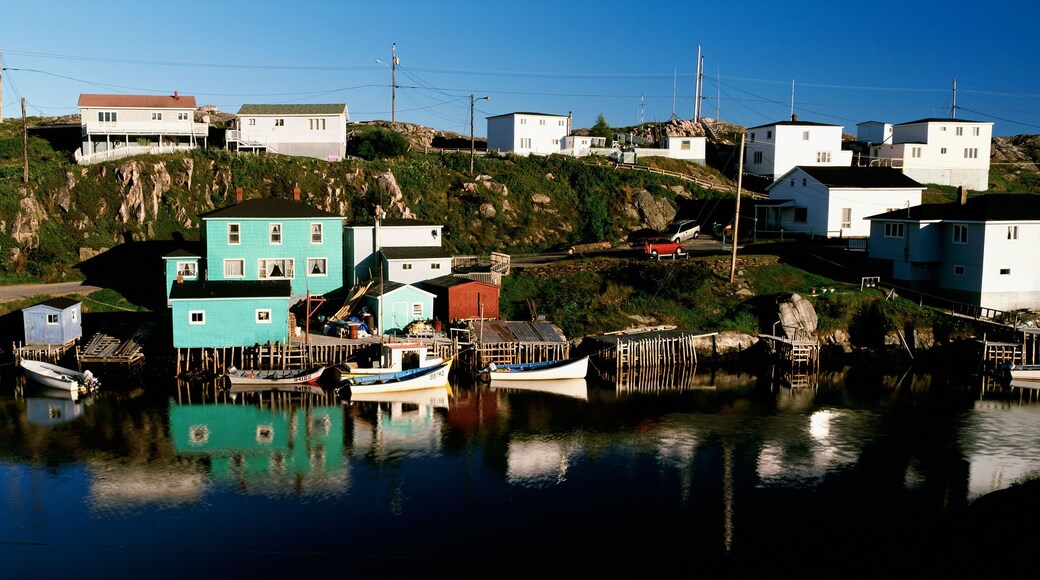 Rose Blanche-Harbour le Cou