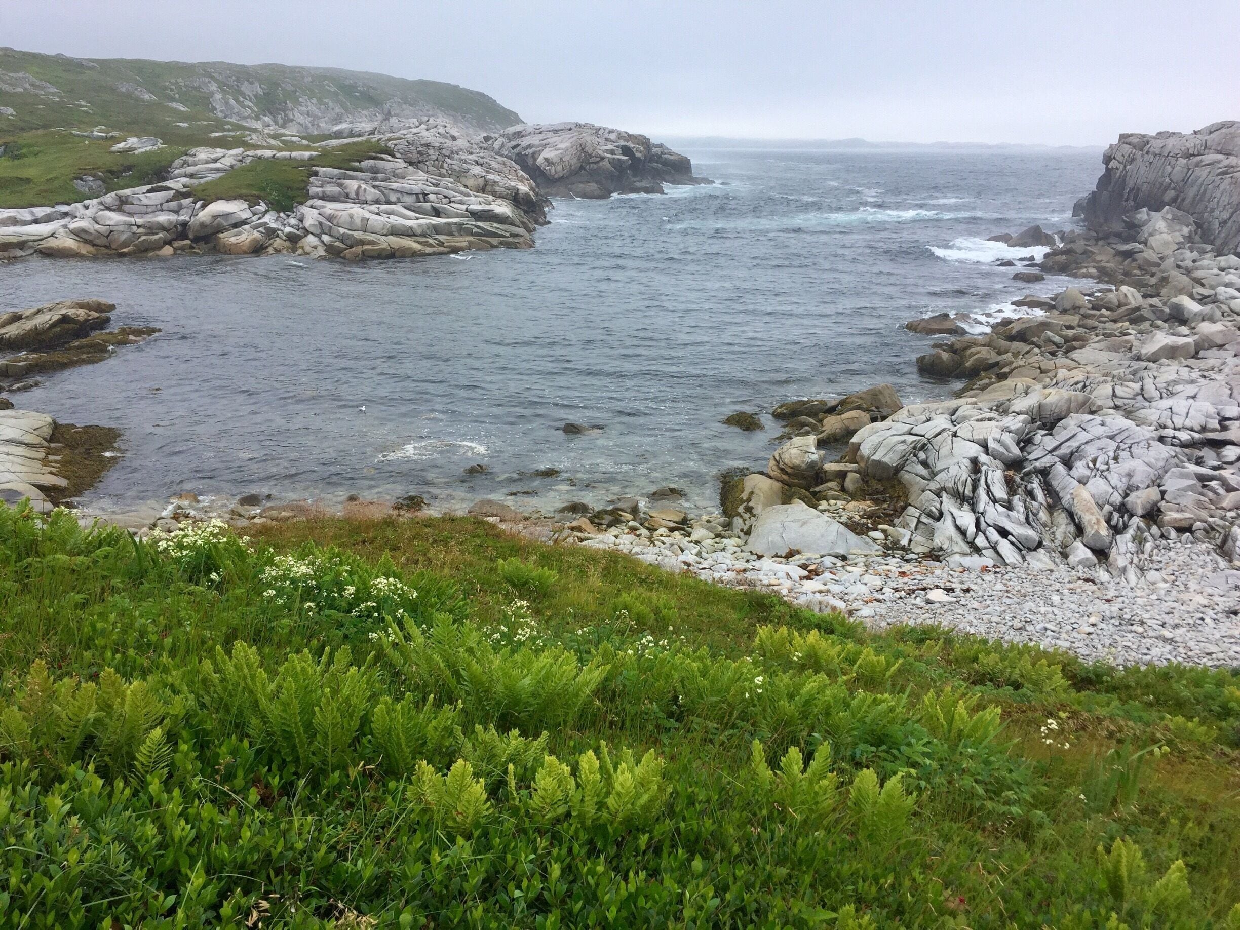 Beautiful shoreline here in SW Newfoundland. 