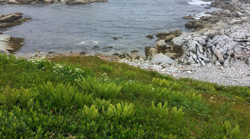 Beautiful shoreline here in SW Newfoundland.