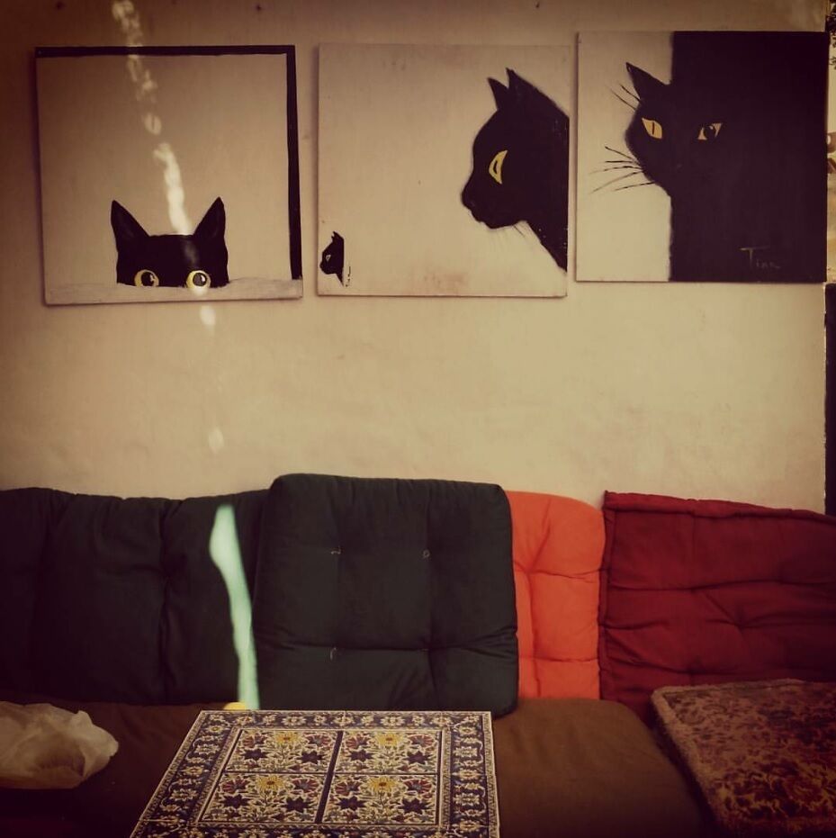 A living room with a black cat silhouette on the wall, a patterned rug, and a couch with orange and red cushions.