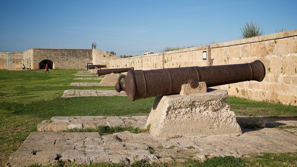 Eine Kanone in einem grasbewachsen Feld, im Hintergrund eine Steinmauer und ein Tunnel.