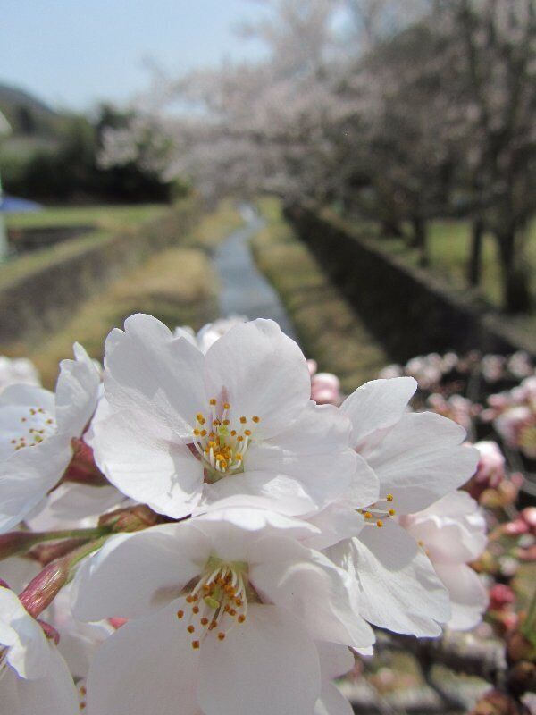 1_72843c43-0de3-4bfe-b262-2b0cb5e4c505_raw