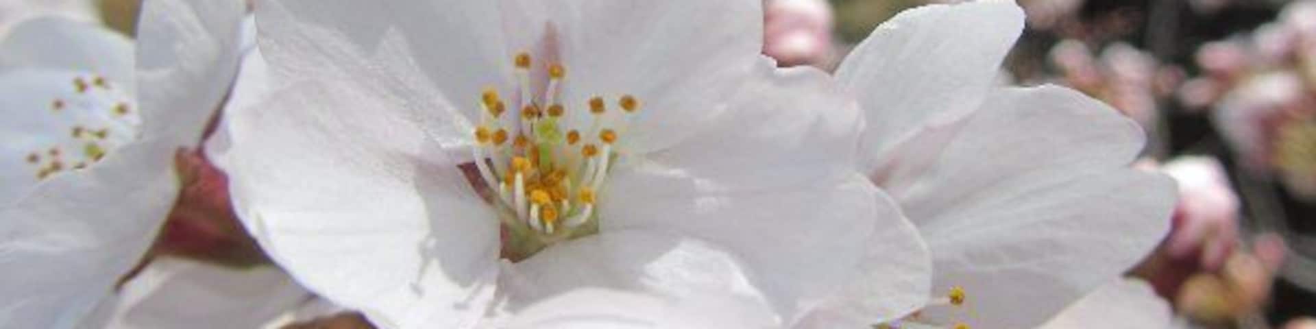 1_72843c43-0de3-4bfe-b262-2b0cb5e4c505_raw