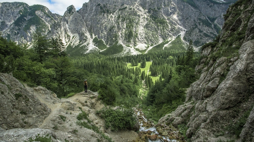Hiked up to this waterfall high up in the mountains and deep into Triglav National Park for lunch. #GreatOutdoors