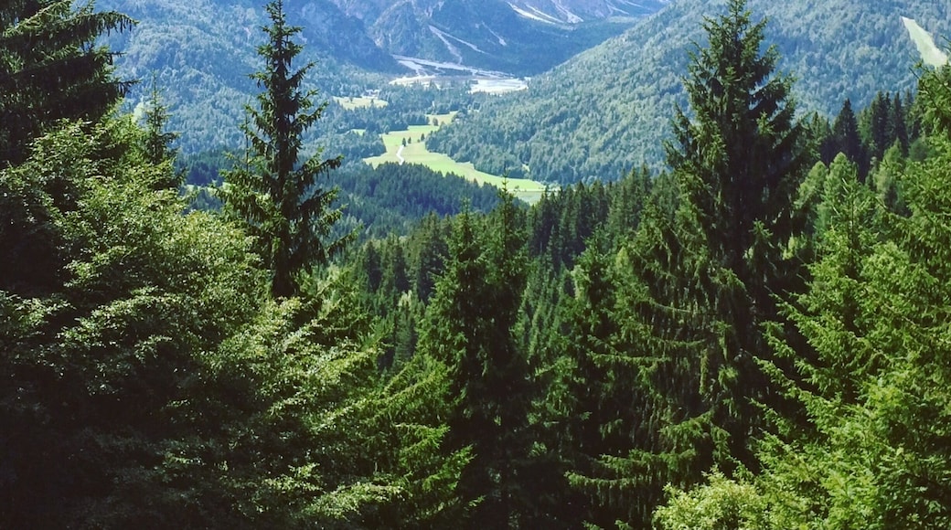 The trail goes to the top of the mountain where the borders between Austria, Italy and Slovenia meet. It starts in the small slovenian village called Rateče. The picture shows the Vršič Pass on the opposite side of the valley.