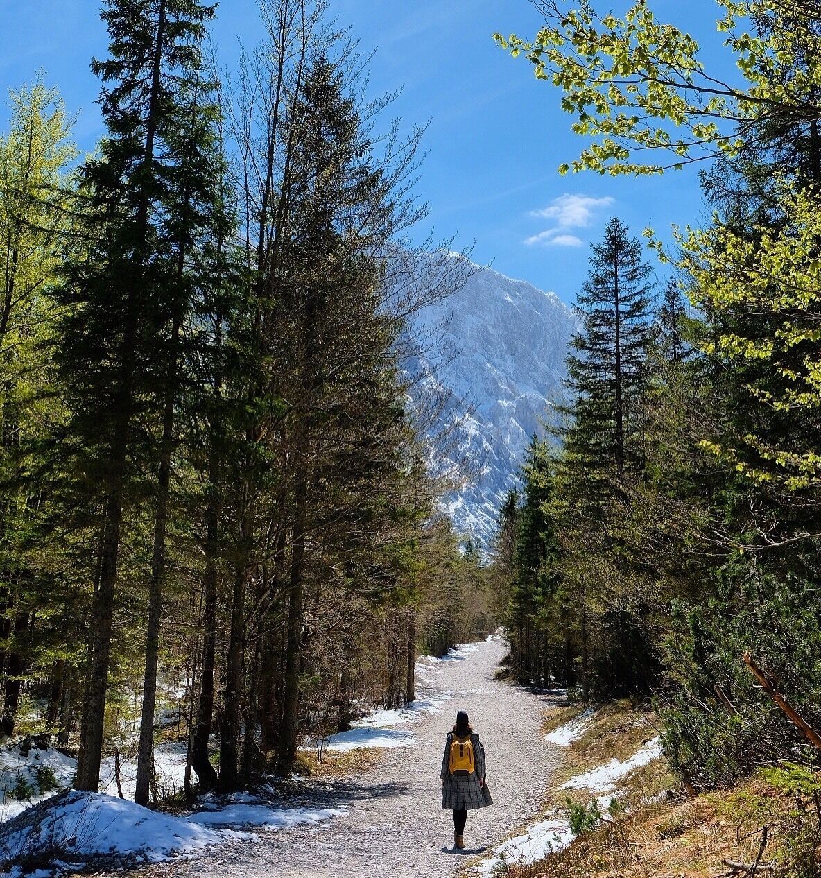 The Tamar Valley is perfect for a long and noiseless forest hike 🌲
#slovenia #hiking #mountains