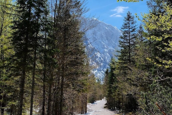 The Tamar Valley is perfect for a long and noiseless forest hike 🌲
#slovenia #hiking #mountains
