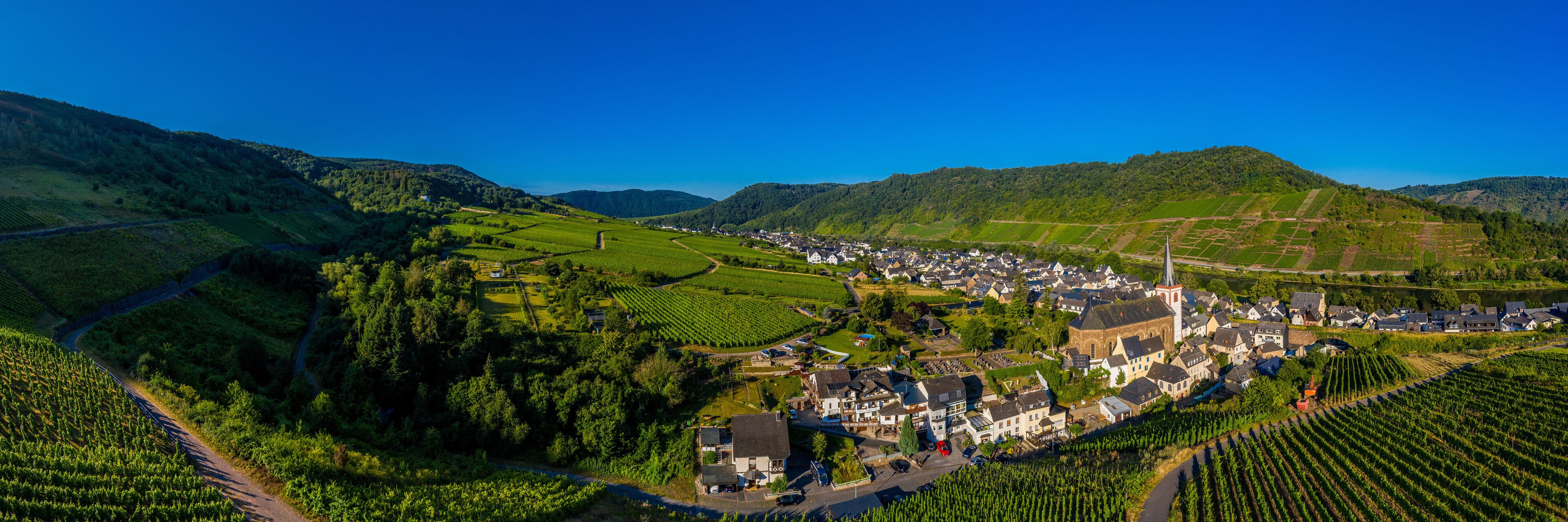 Panoramic view of the Moselle vineyards near Bruttig-Fankel, Germany. .Created from several images to create a panorama image.