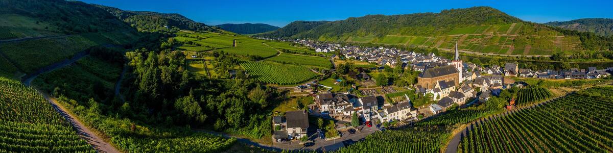 Panoramic view of the Moselle vineyards near Bruttig-Fankel, Germany. .Created from several images to create a panorama image.