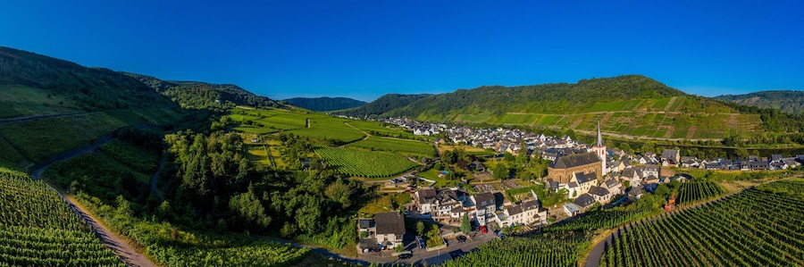 Panoramic view of the Moselle vineyards near Bruttig-Fankel, Germany. .Created from several images to create a panorama image.