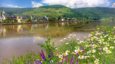 View at Ellenz-Poltersdorf along river Mosel