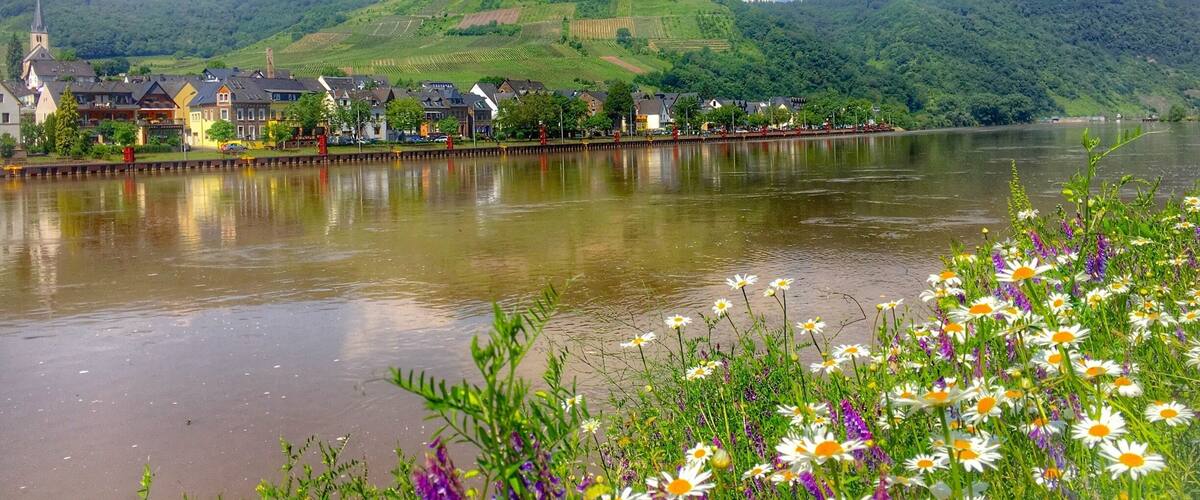 A river with a town on the opposite bank, surrounded by green hills and a clear sky.