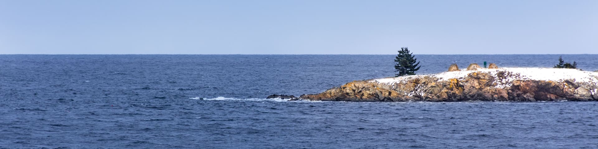 Lone pine tree on rocky peninsula off the Maine coast in winter. Storm clouds and snow.